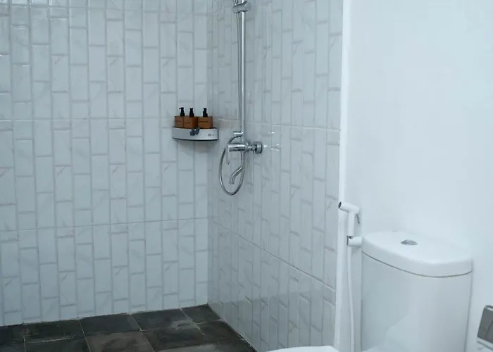 Kasturi Guest house 3*